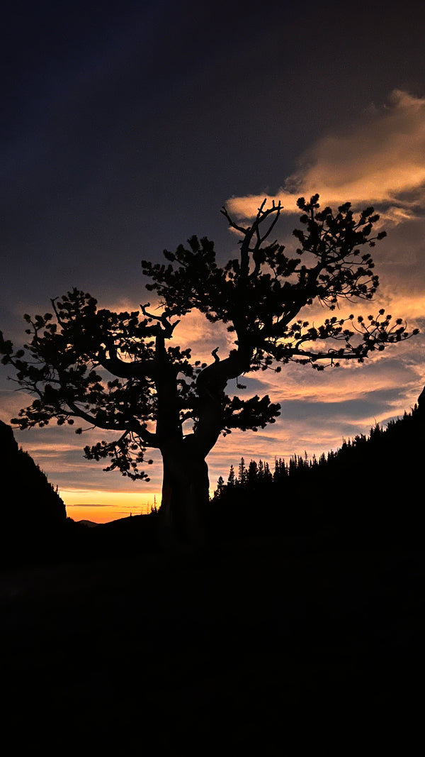 Landscape Photography Class