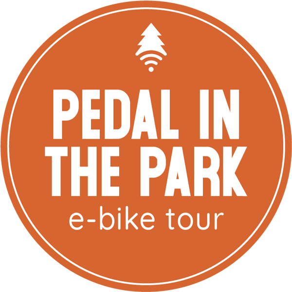 Wedgewood Weddings - E-bike Tours