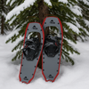 Snowshoes